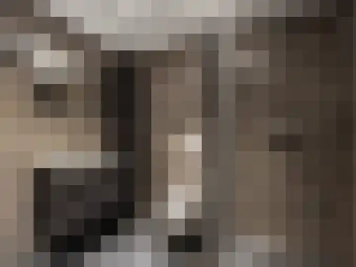 De Waarden 322 Zutphen thumbnail 16
