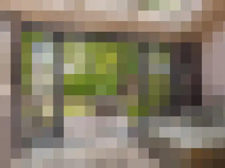 De Waarden 322 Zutphen thumbnail 28