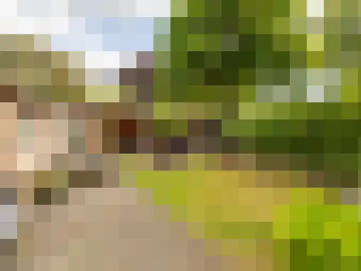 De Waarden 322 Zutphen thumbnail 29