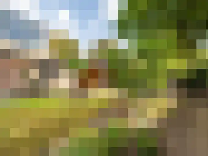 De Waarden 322 Zutphen thumbnail 30