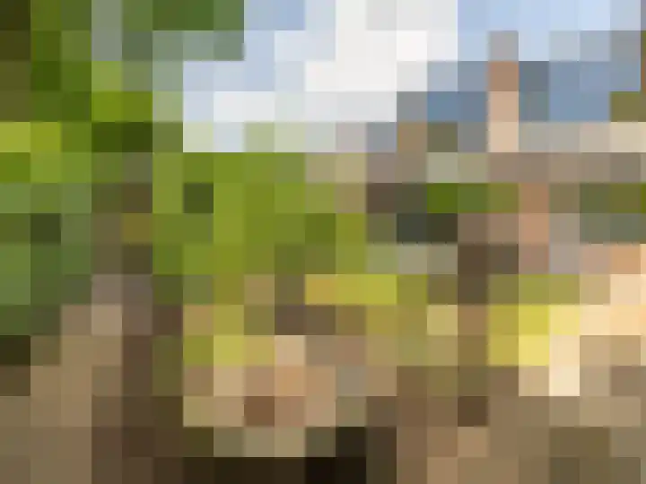De Waarden 322 Zutphen thumbnail 31
