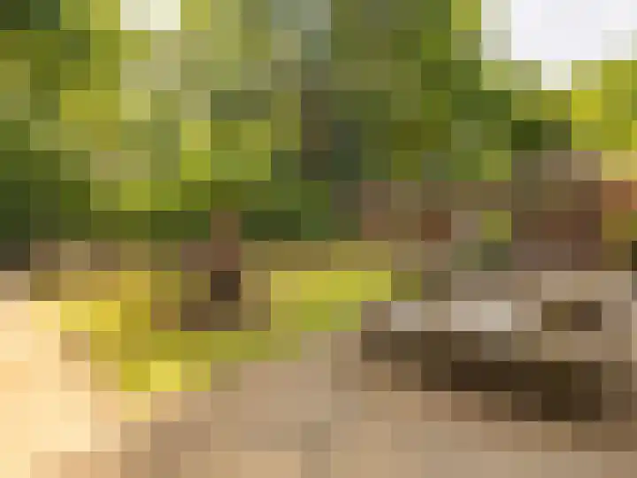 De Waarden 322 Zutphen thumbnail 32