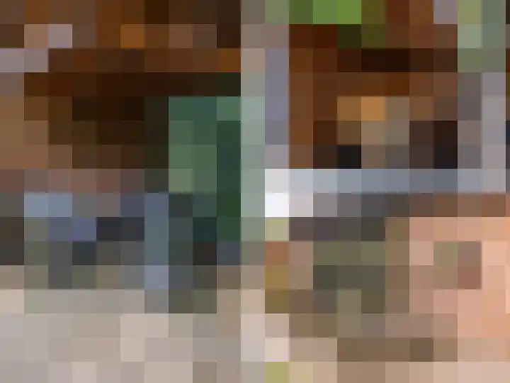 De Waarden 322 Zutphen thumbnail 34
