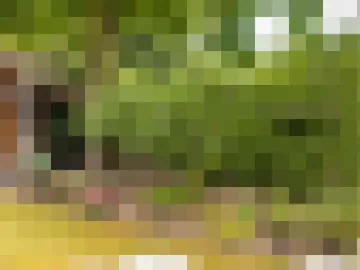 De Waarden 322 Zutphen thumbnail 35