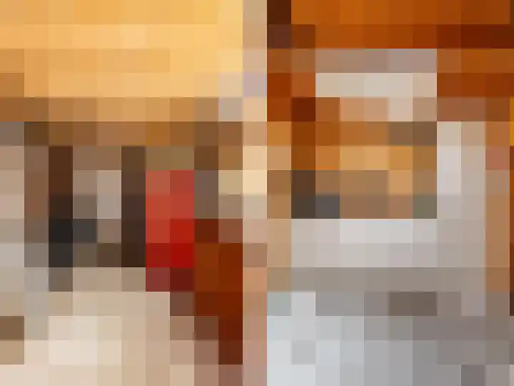 De Waarden 322 Zutphen thumbnail 38
