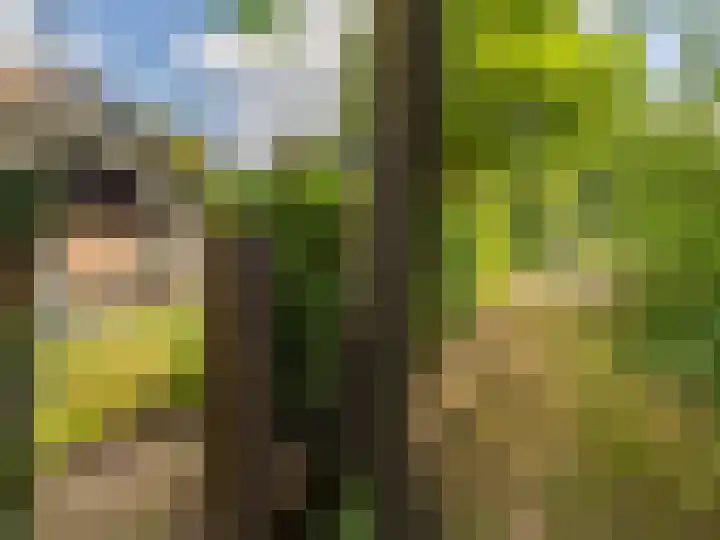 De Waarden 322 Zutphen thumbnail 39