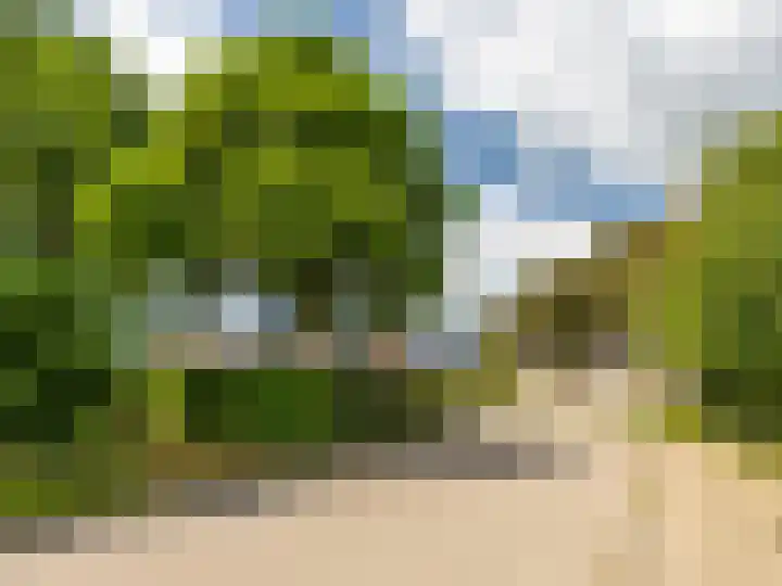 De Waarden 322 Zutphen thumbnail 40