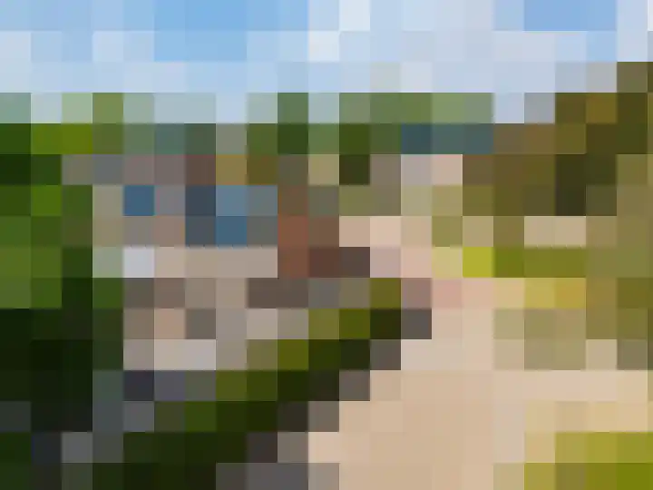 De Waarden 322 Zutphen thumbnail 41
