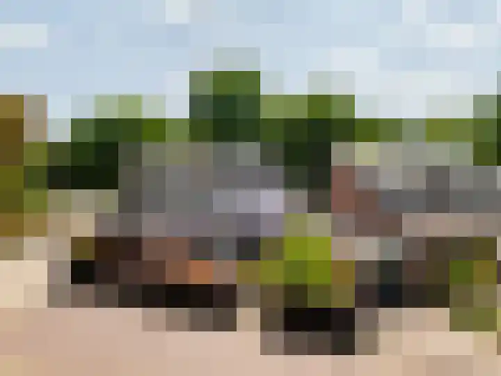 De Waarden 322 Zutphen thumbnail 43