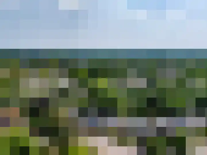 De Waarden 322 Zutphen thumbnail 45