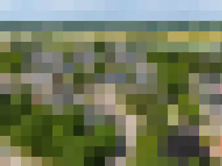 De Waarden 322 Zutphen thumbnail 46
