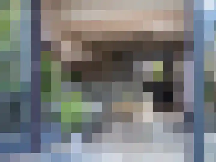 De Waarden 322 Zutphen thumbnail 8