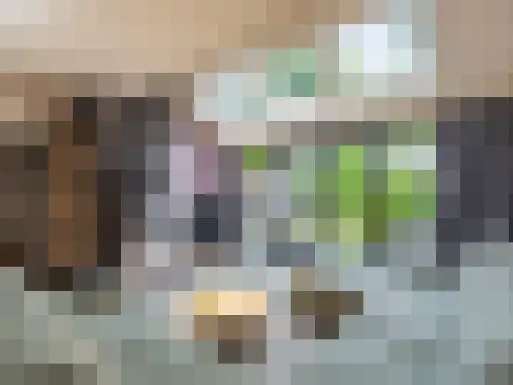 De Waarden 322 Zutphen thumbnail 9