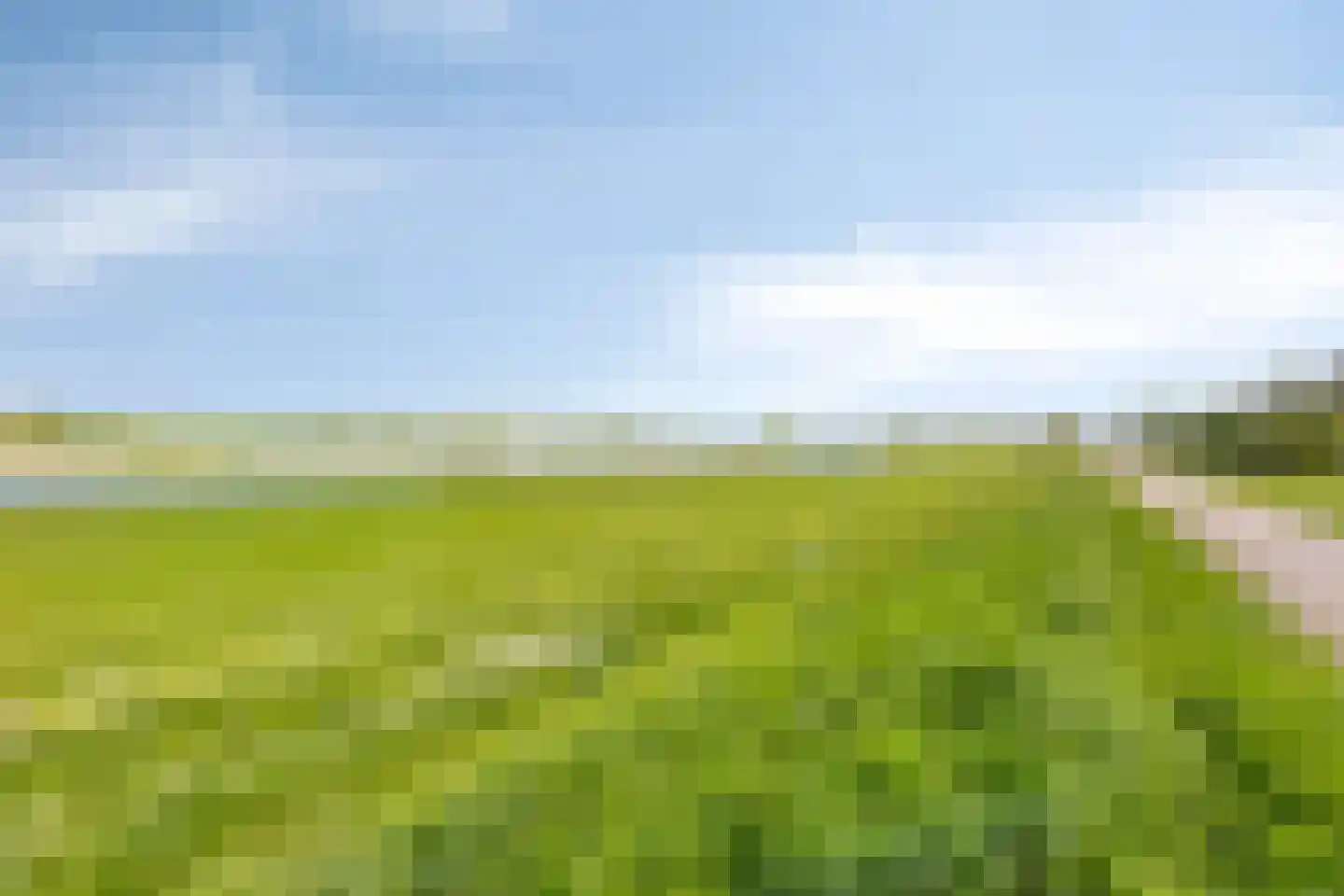 De Waarden 363 Zutphen thumbnail 43