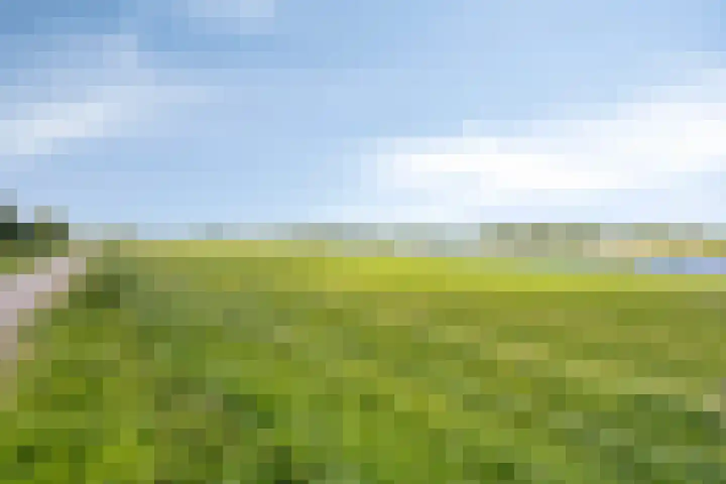 De Waarden 363 Zutphen thumbnail 44
