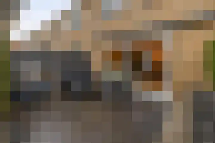 De Waarden 385 Zutphen thumbnail 33