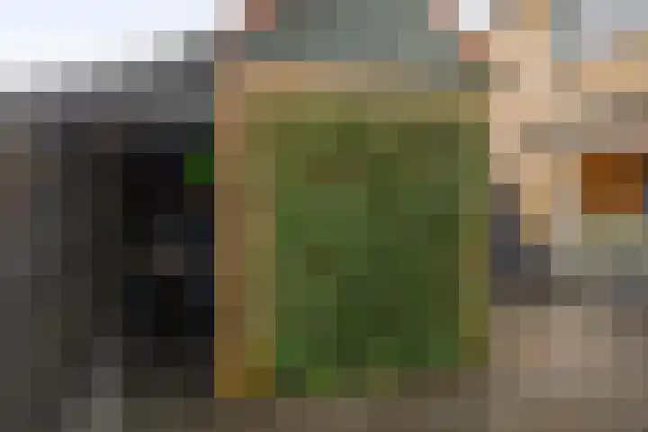 De Waarden 385 Zutphen thumbnail 34