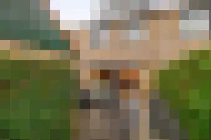 De Waarden 385 Zutphen thumbnail 35