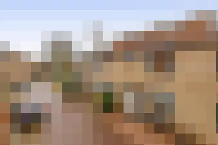 De Waarden 385 Zutphen thumbnail 37
