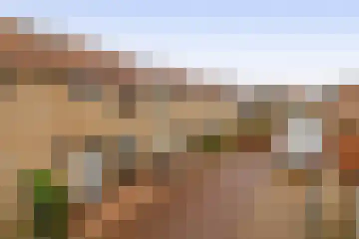 De Waarden 385 Zutphen thumbnail 38