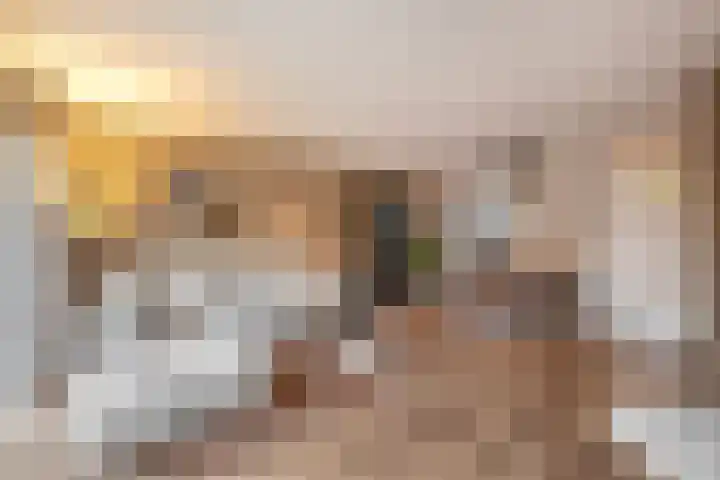 De Waarden 385 Zutphen thumbnail 8