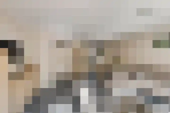 De Waarden 389 Zutphen thumbnail 10