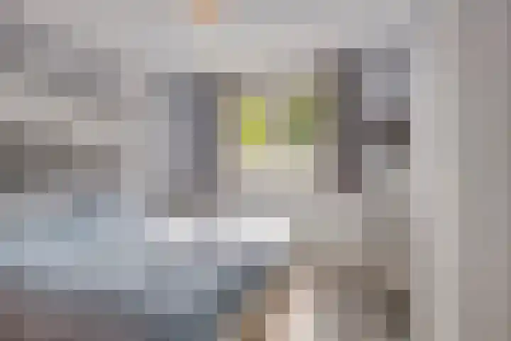 De Waarden 389 Zutphen thumbnail 17