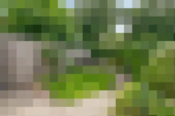 De Waarden 389 Zutphen thumbnail 28