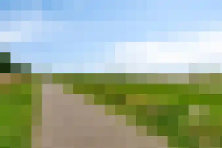 De Waarden 389 Zutphen thumbnail 32