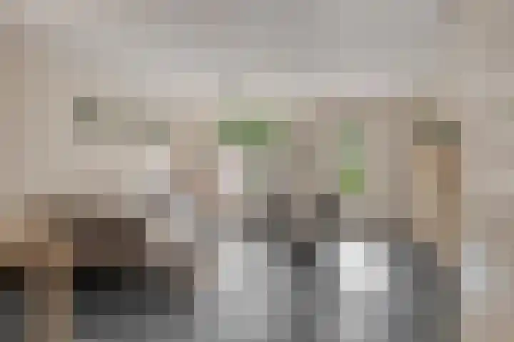 De Waarden 389 Zutphen thumbnail 7