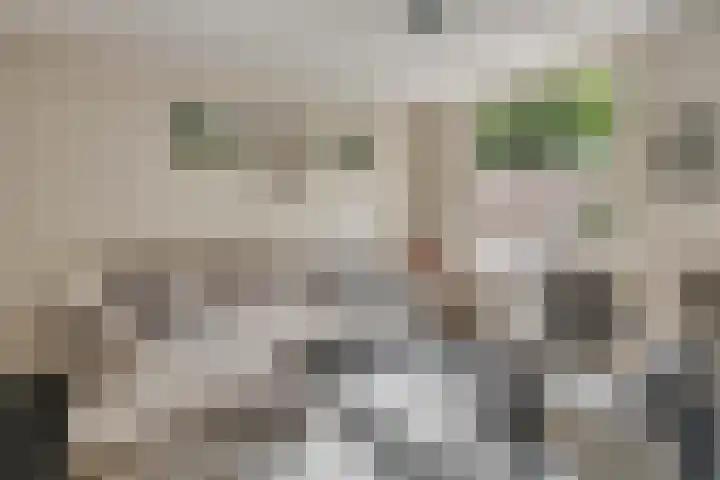 De Waarden 389 Zutphen thumbnail 8