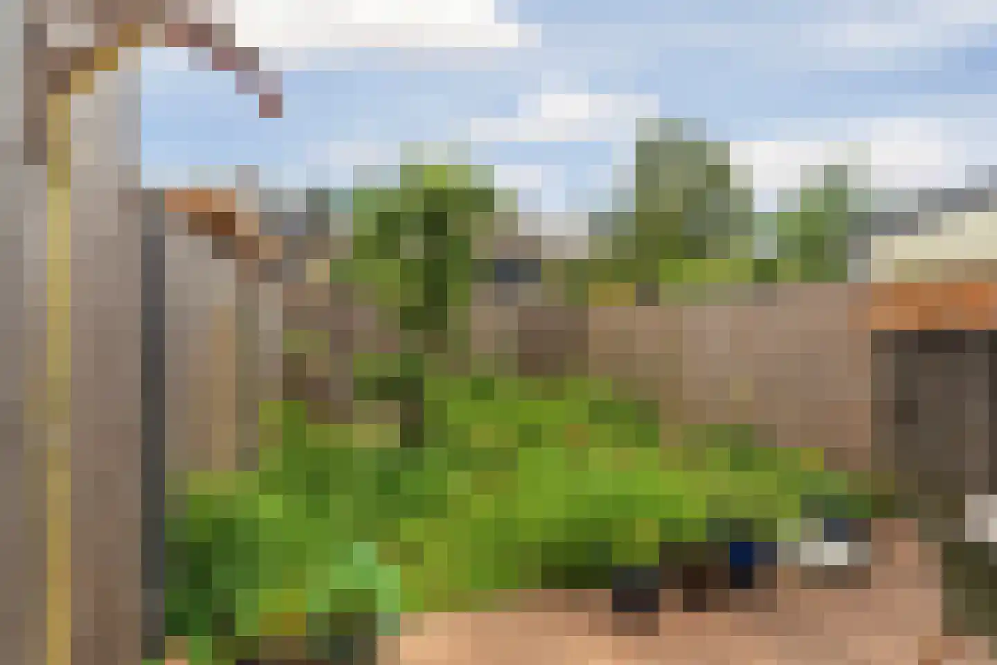 De Waarden 46 Zutphen thumbnail 39