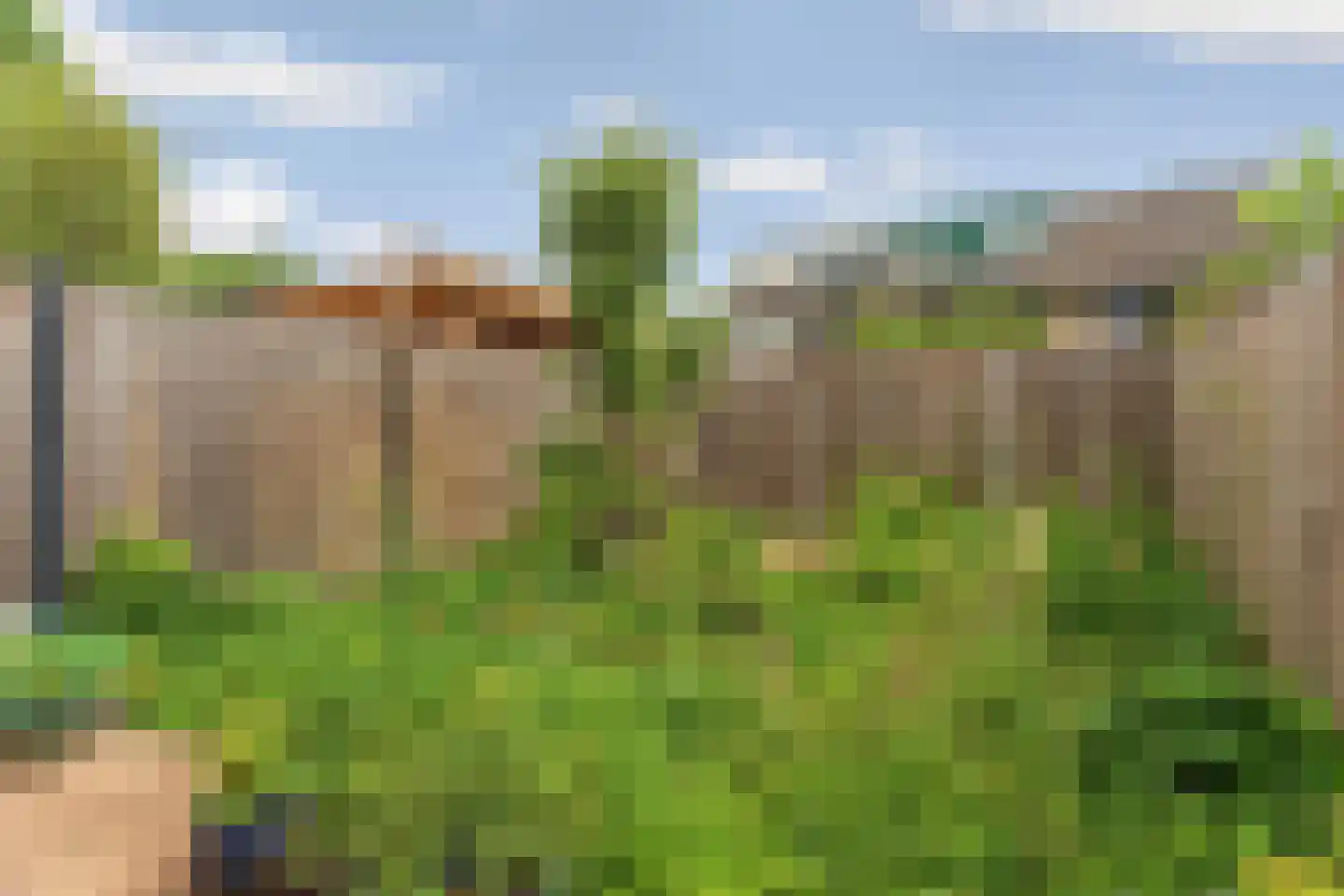 De Waarden 46 Zutphen thumbnail 41