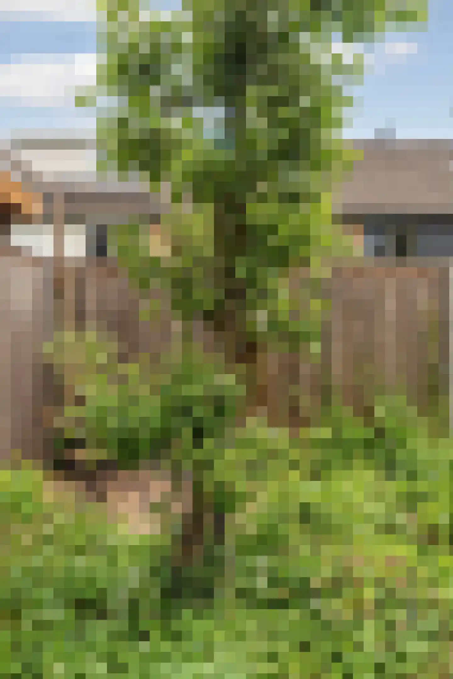 De Waarden 46 Zutphen thumbnail 43