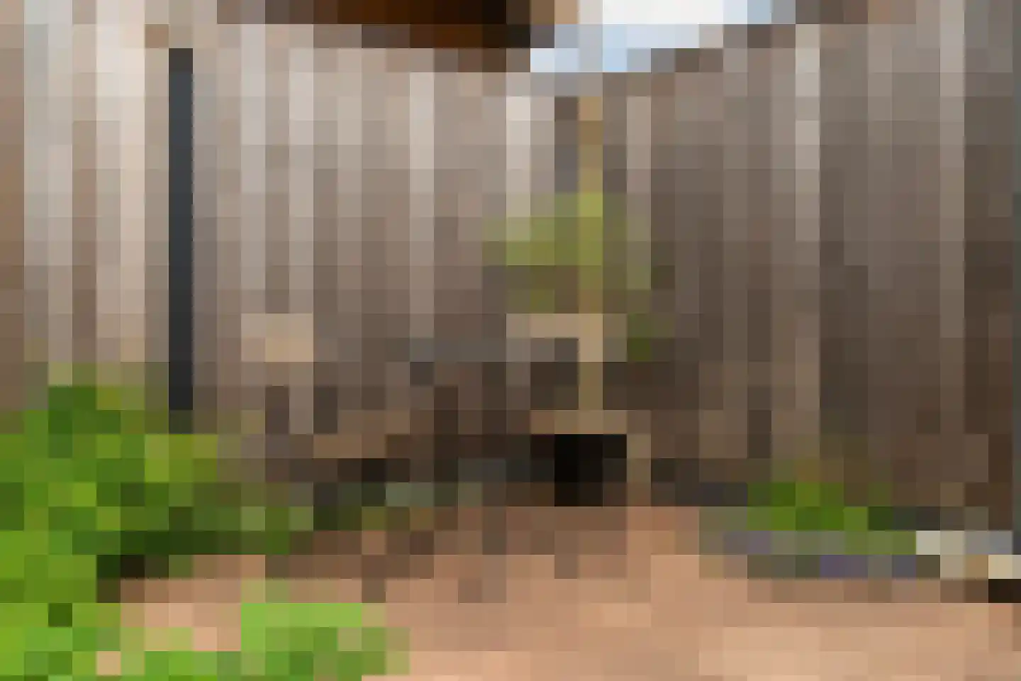 De Waarden 46 Zutphen thumbnail 48