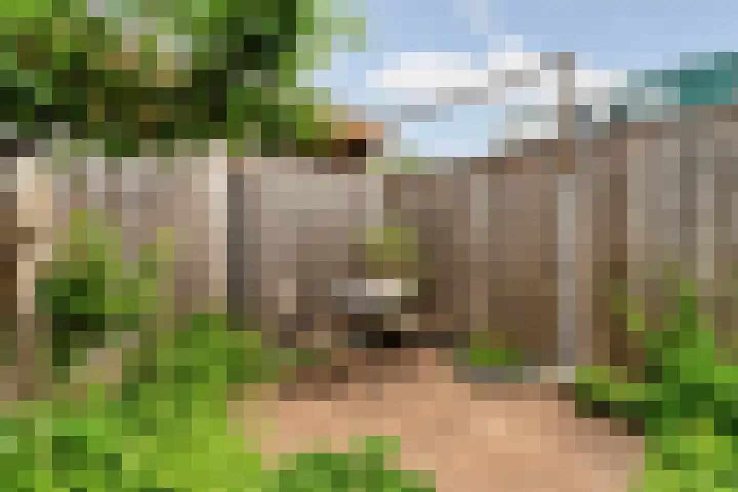De Waarden 46 Zutphen thumbnail 49