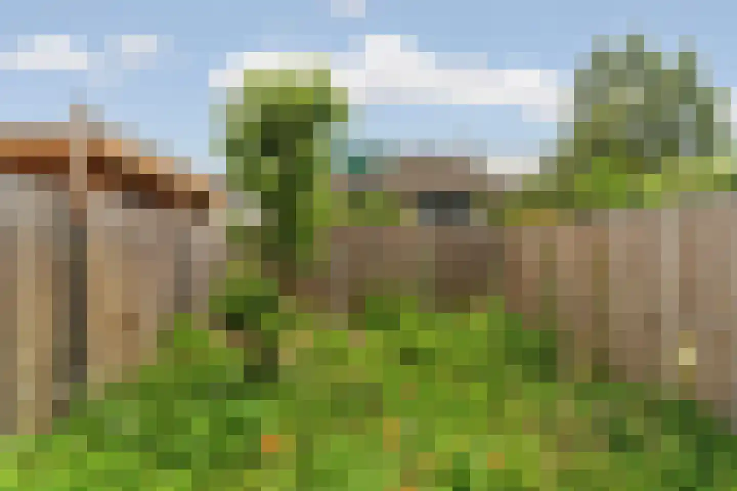 De Waarden 46 Zutphen thumbnail 50