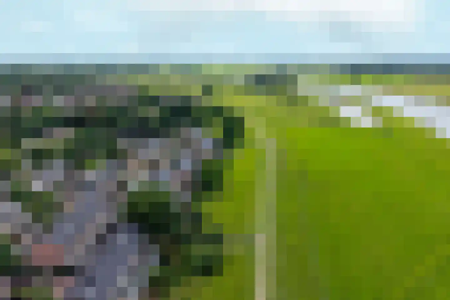 De Waarden 46 Zutphen thumbnail 54