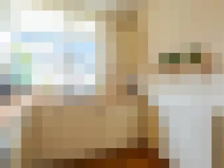 De Waarden 55 Zutphen thumbnail 15