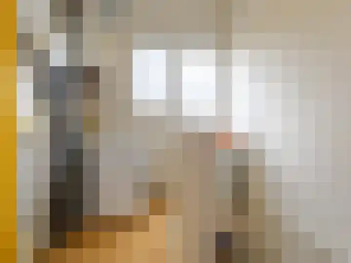 De Waarden 55 Zutphen thumbnail 23