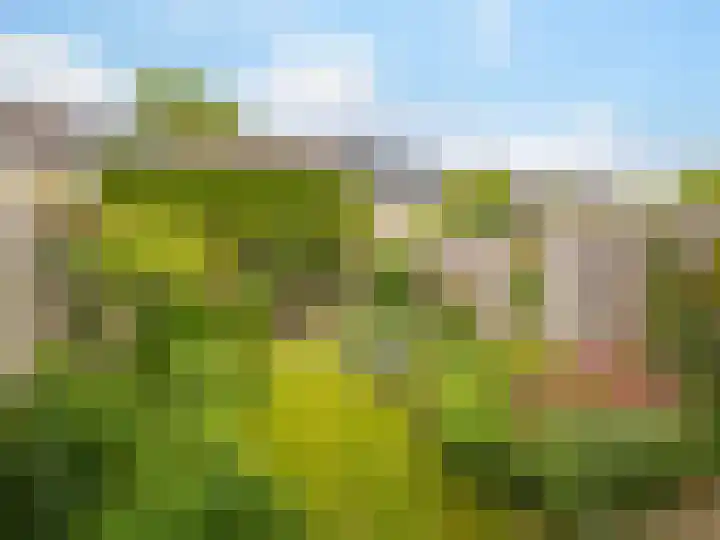 De Waarden 55 Zutphen thumbnail 25