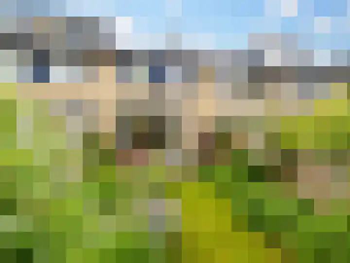 De Waarden 55 Zutphen thumbnail 27