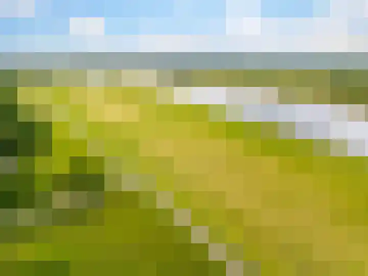 De Waarden 55 Zutphen thumbnail 28