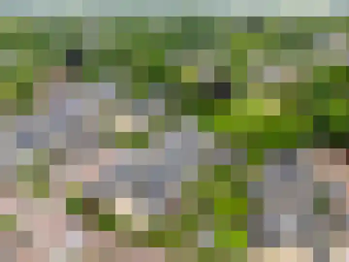 De Waarden 55 Zutphen thumbnail 29