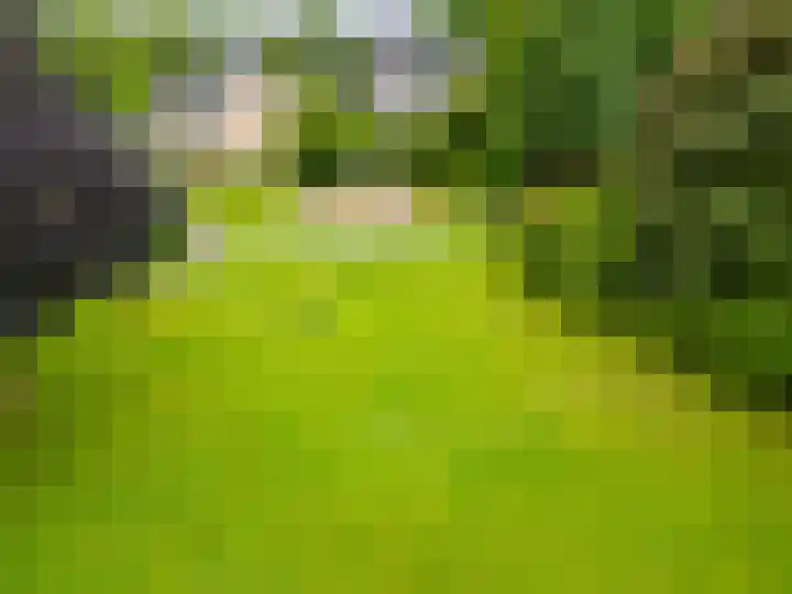 De Waarden 55 Zutphen thumbnail 30