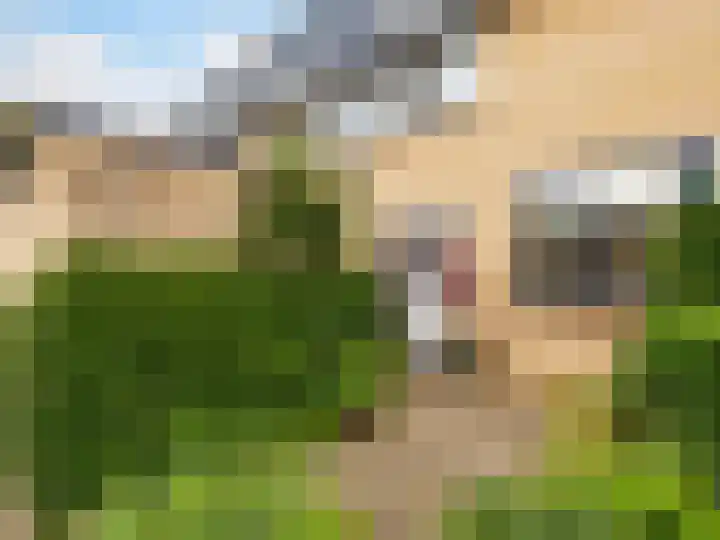 De Waarden 55 Zutphen thumbnail 5