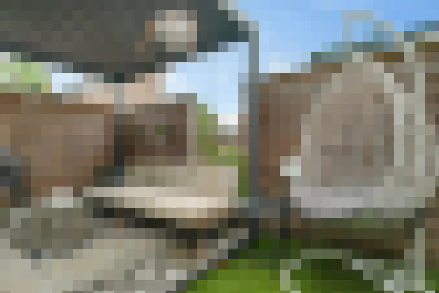 De Waarden 61 Zutphen thumbnail 36
