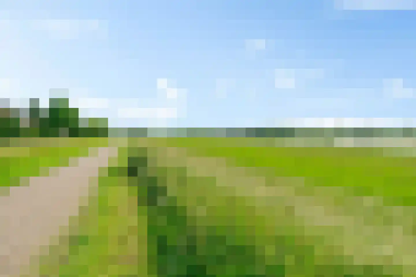 De Waarden 61 Zutphen thumbnail 37