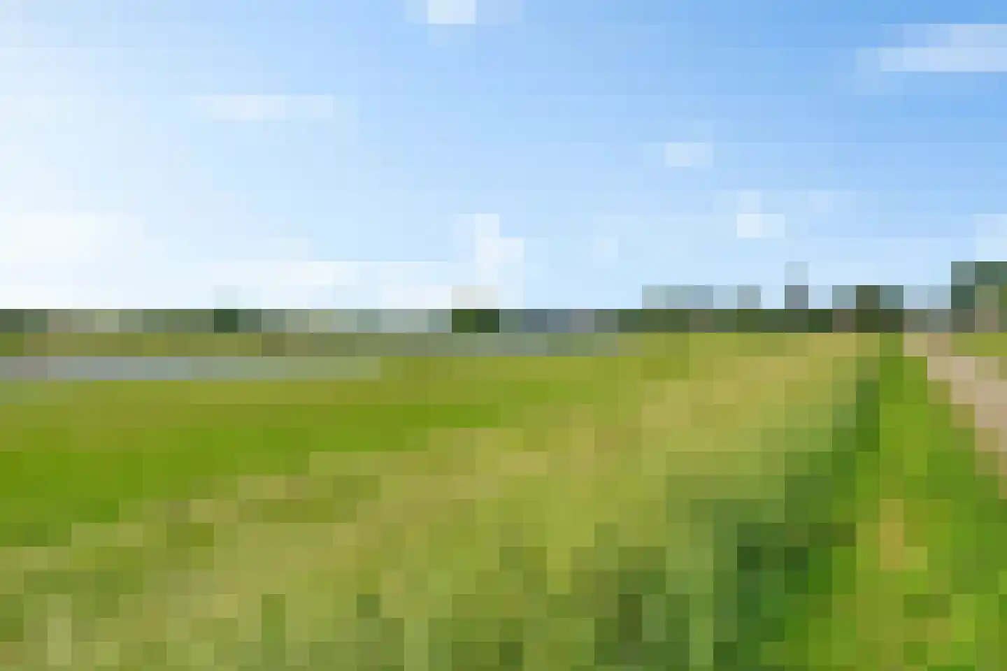 De Waarden 61 Zutphen thumbnail 39
