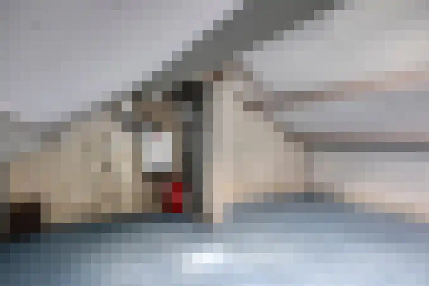 De Waarden 84 Zutphen thumbnail 21